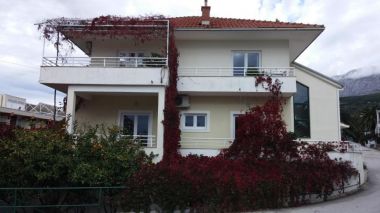 Apartamenty Maja - 100 from the beach: A1- Galebovo krilo (2+2), A2-Uzorita (2+2), SA1(2) Podgora - Riwiera Makarska 