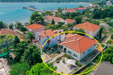Dom wakacyjny Ante - 30 m from beach: H(6+2) Ist (Wysp Ist) - Riwiera Zadar  - Chorwacja 