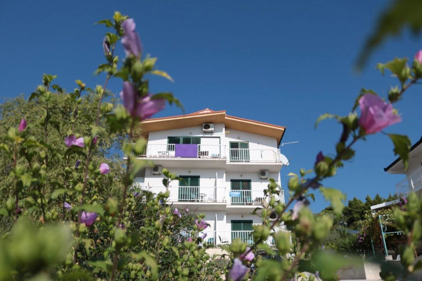 Apartamenty Gloria - 5 min to the beach : SA1(3+1), SA2(3), SA3(3), SA4(4), SA5(3), SA6(3), SA7(2), A8(6+4) Gradac - Riwiera Makarska 
